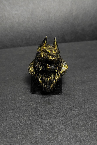 دکمه کیبورد مکانیکی مدل گرگ