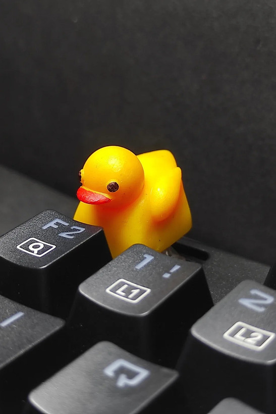 دکمه کیبورد مکانیکی مدل اردک