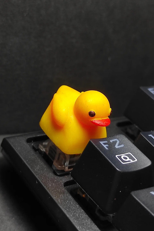 خرید دکمه کیبورد مکانیکی مدل اردک