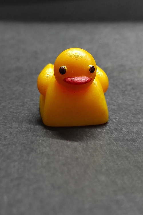 خرید و قیمت دکمه کیبورد مکانیکی مدل اردک