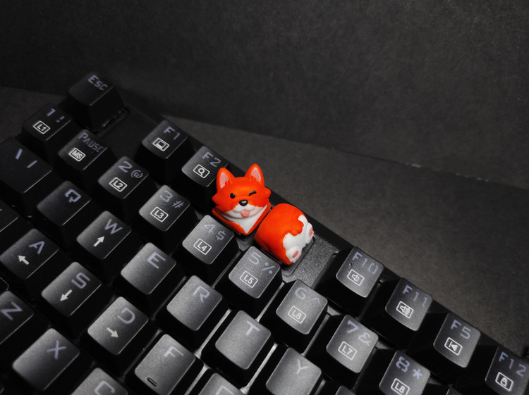 دکمه کیبورد شیبا