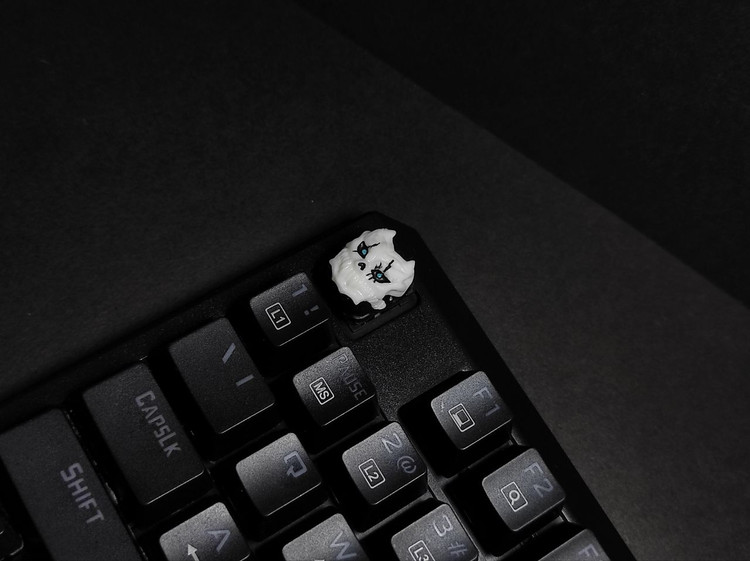 خرید و قیمت کیکپ کایجو ایت